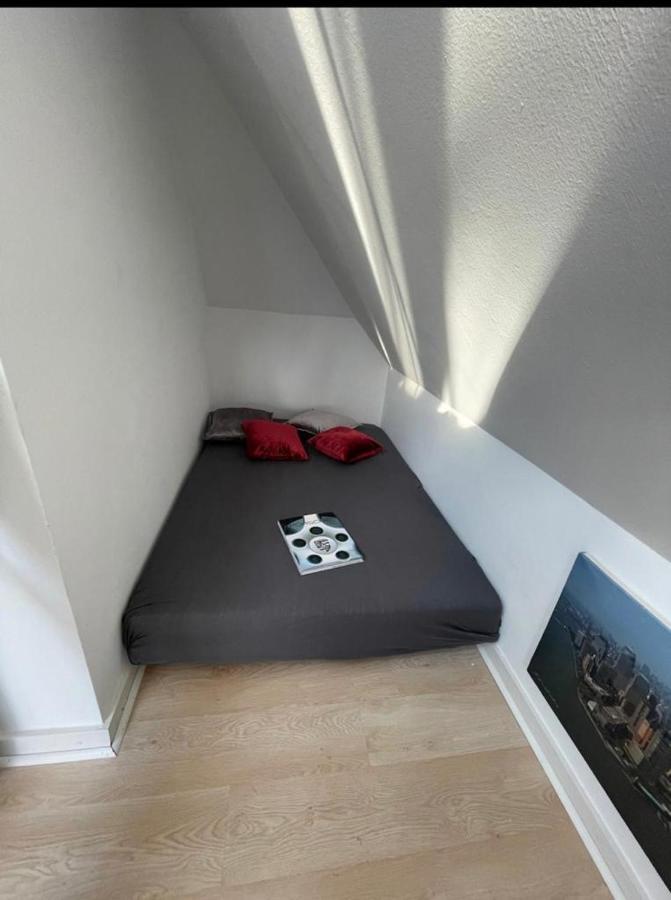 Luxury Rooftop Loft With River View 10Min To City Lejlighed Düsseldorf Eksteriør billede